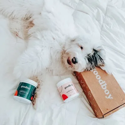Lifestyle Images for Goodboy 34