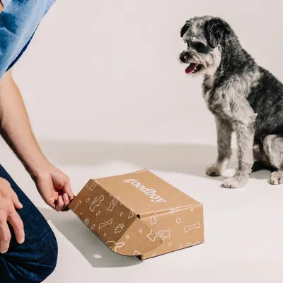Lifestyle Images for Goodboy 36
