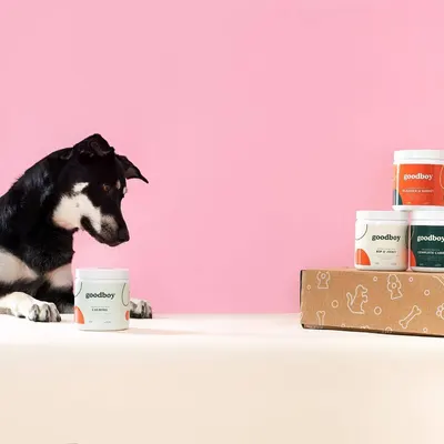 Secondary Images for Goodboy 43