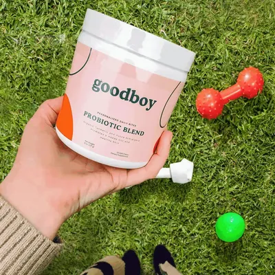 Lifestyle Images for Goodboy 6