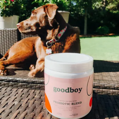 Lifestyle Images for Goodboy 7