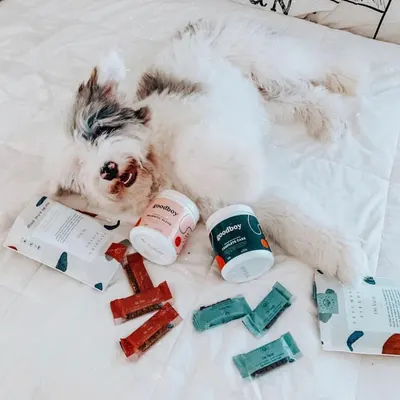 Lifestyle Images for Goodboy 9