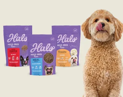 Secondary Images for HALO PETS CB PET 1