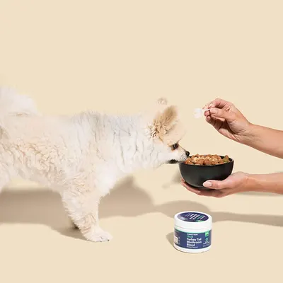 Secondary Images for HONEST PAWS CB PET 3