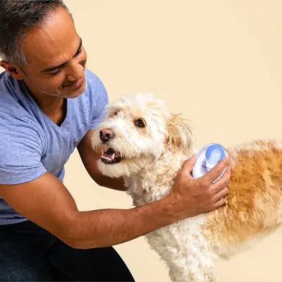 Secondary Images for HONEST PAWS CB PET 5