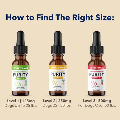Secondary Images for HONEST PAWS INF PET 16