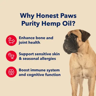 Secondary Images for HONEST PAWS INF PET 17