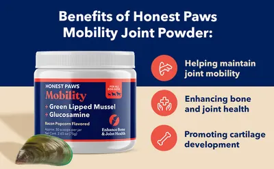 Secondary Images for HONEST PAWS INF PET 20