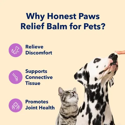Secondary Images for HONEST PAWS INF PET 22