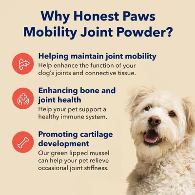 Secondary Images for HONEST PAWS INF PET 9