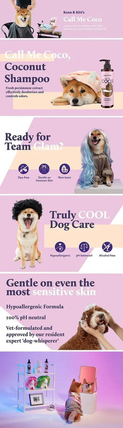 Basic A+ Content for KENN AND KITT AA PET 2