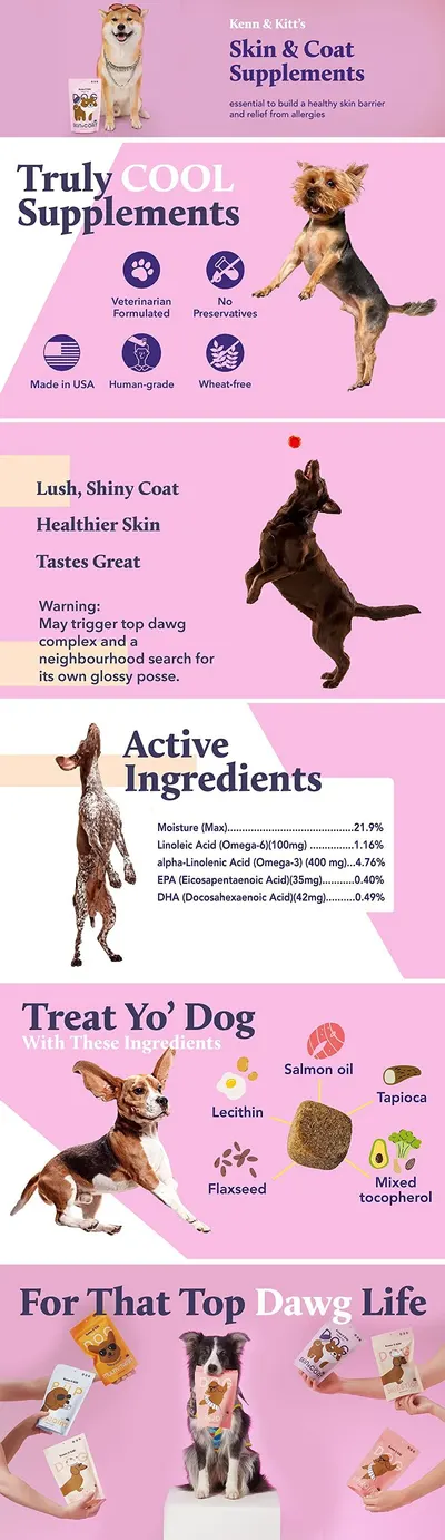 Basic A+ Content for KENN AND KITT AA PET 3