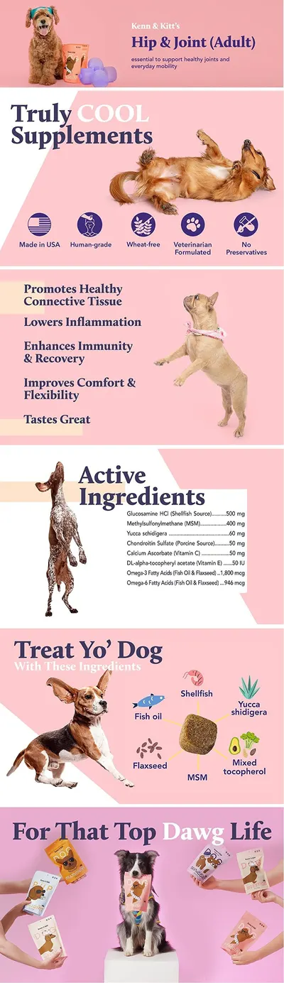 Basic A+ Content for KENN AND KITT AA PET 6