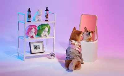 Secondary Images for KENN AND KITT CB PET 3