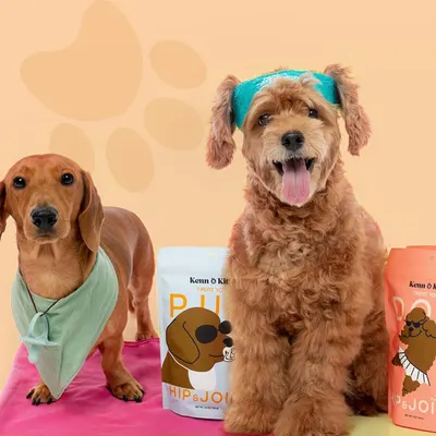 Secondary Images for KENN AND KITT CB PET 5
