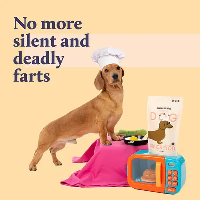 Secondary Images for KENN AND KITT INF PET 45