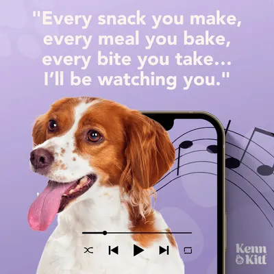 Secondary Images for KENN AND KITT INF PET 69