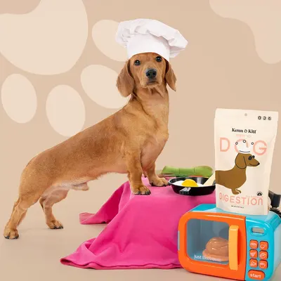 Lifestyle Images for KENN AND KITT LIF PET 3