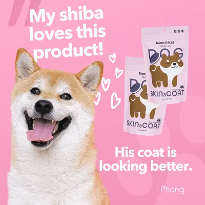 Review Images for KENN AND KITT PR PET 3