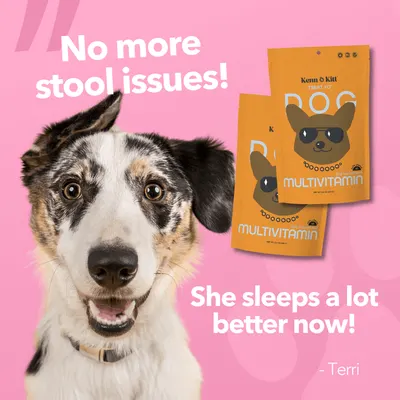 Review Images for KENN AND KITT PR PET 4