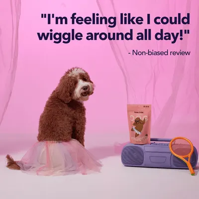 Review Images for KENN AND KITT PR PET 6