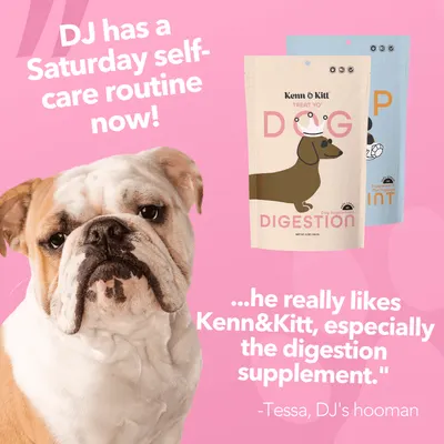 Review Images for KENN AND KITT PR PET 7