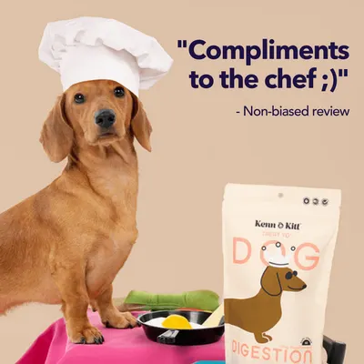 Review Images for KENN AND KITT PR PET 8