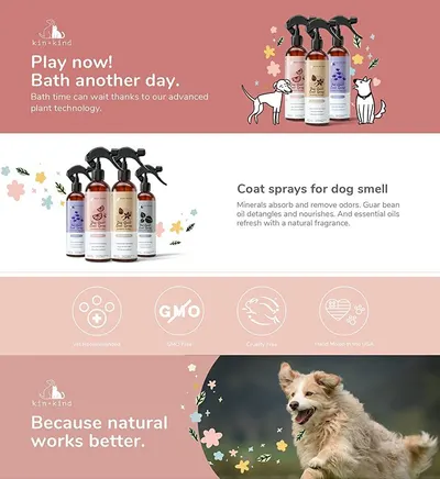 Basic A+ Content for KIN+KIND AA PET 1