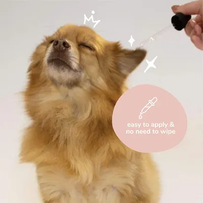 Secondary Images for KIN+KIND INF PET 9