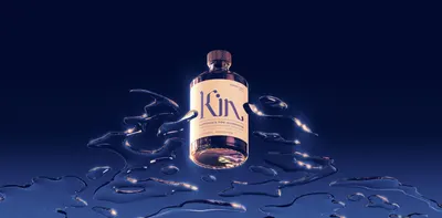 Secondary Images for Kin 2