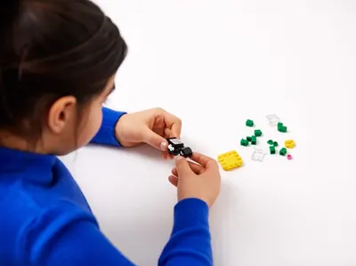 Lifestyle Images for LEGO LIF TG 9