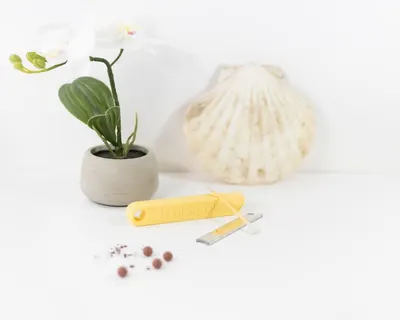 Lifestyle Images for LastSwab 41