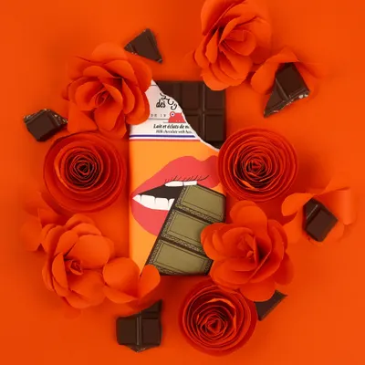 Secondary Images for Le chocolat des Français 79