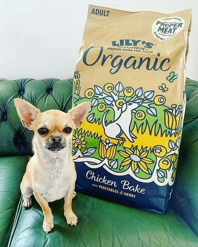 Lifestyle Images for Lily's Kitchen 06