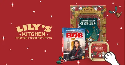 Basic A+ Content for Lily's Kitchen 27