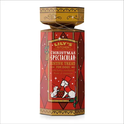 Lifestyle Images for Lily's Kitchen 35
