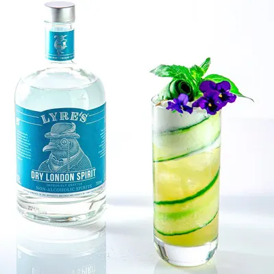 Product Main Images for Lyre's 67