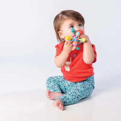 Lifestyle Images for MANHATTAN TOY LIF TG 2