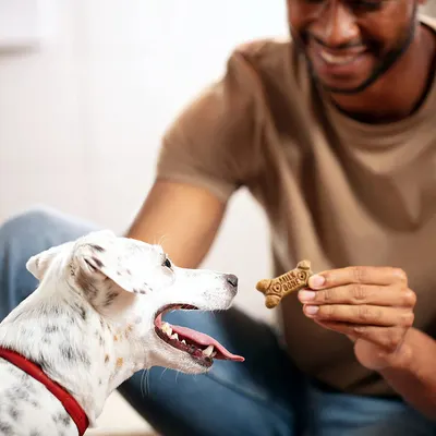 Lifestyle Images for MILK-BONE LIF PET 1