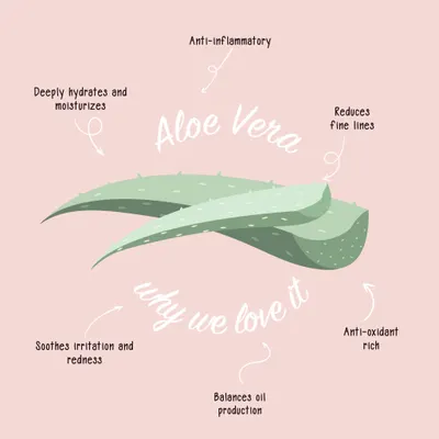 Secondary Images for Mario Badescu 17