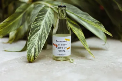 Lifestyle Images for Mayawell 6