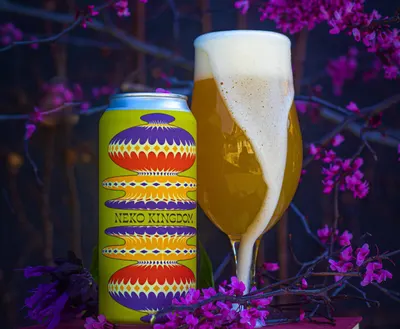 Lifestyle Images for Modern Times Beer 20