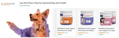 Sponsored Brands Ads for MovoFlex