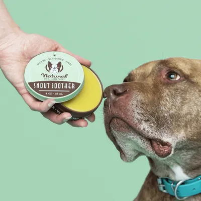 Secondary Images for NATURAL DOG COMPANY CB PET 2