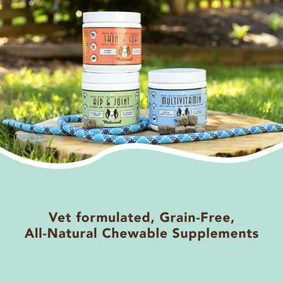 Secondary Images for NATURAL DOG COMPANY INF PET 10