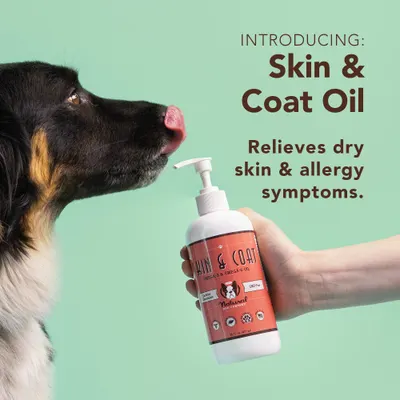 Secondary Images for NATURAL DOG COMPANY INF PET 11