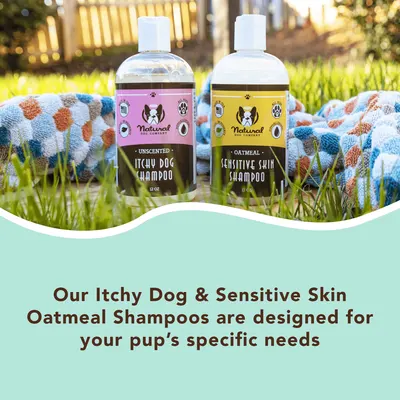 Secondary Images for NATURAL DOG COMPANY INF PET 13