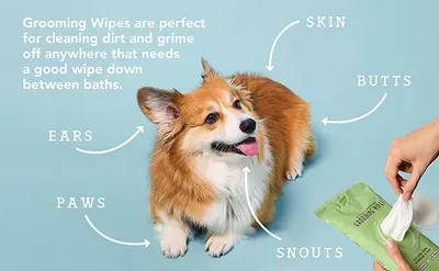 Secondary Images for NATURAL DOG COMPANY INF PET 1