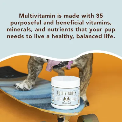Secondary Images for NATURAL DOG COMPANY INF PET 20