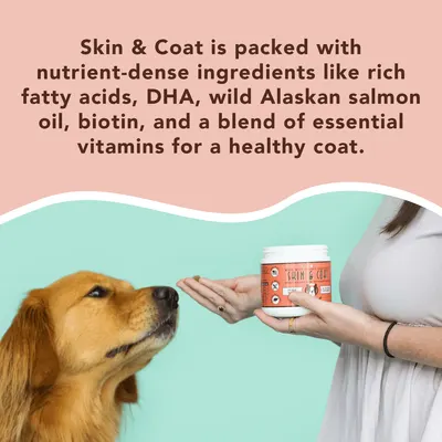 Secondary Images for NATURAL DOG COMPANY INF PET 21